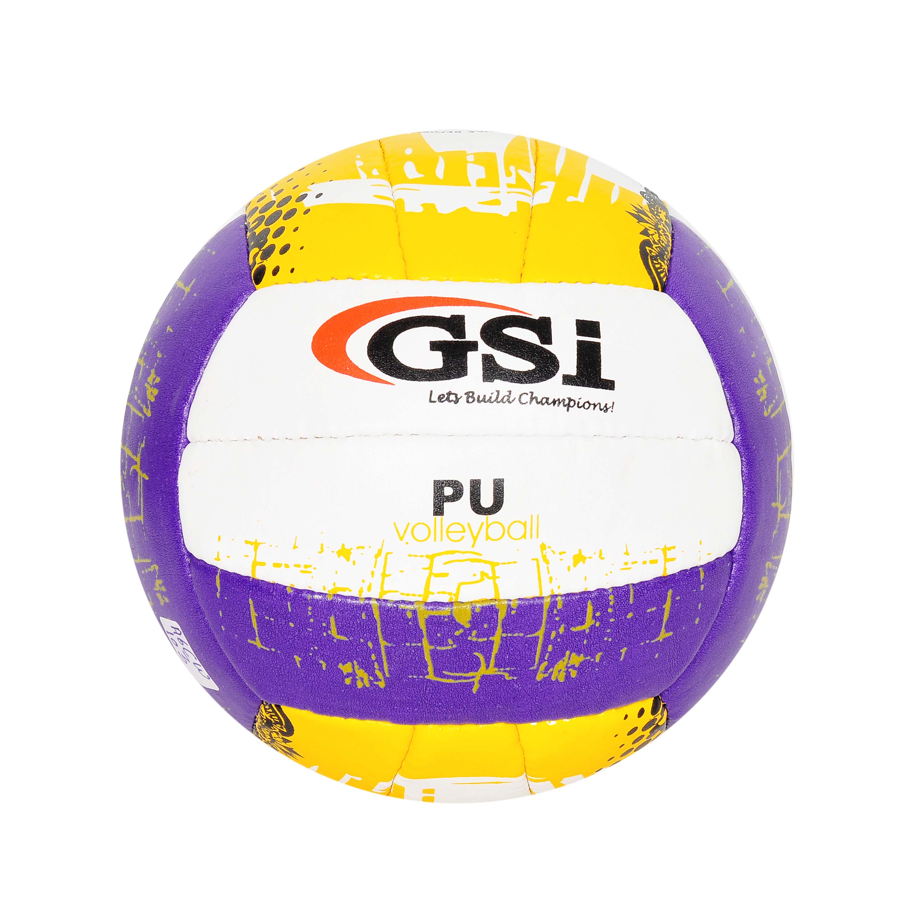 PU Volleyball