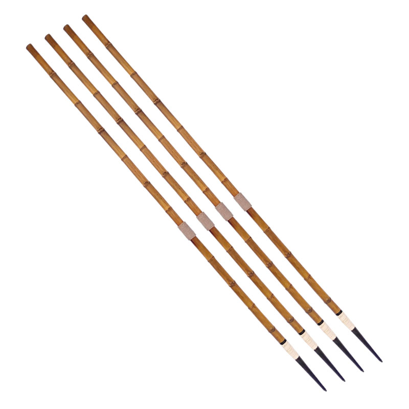 Bamboo Javelin